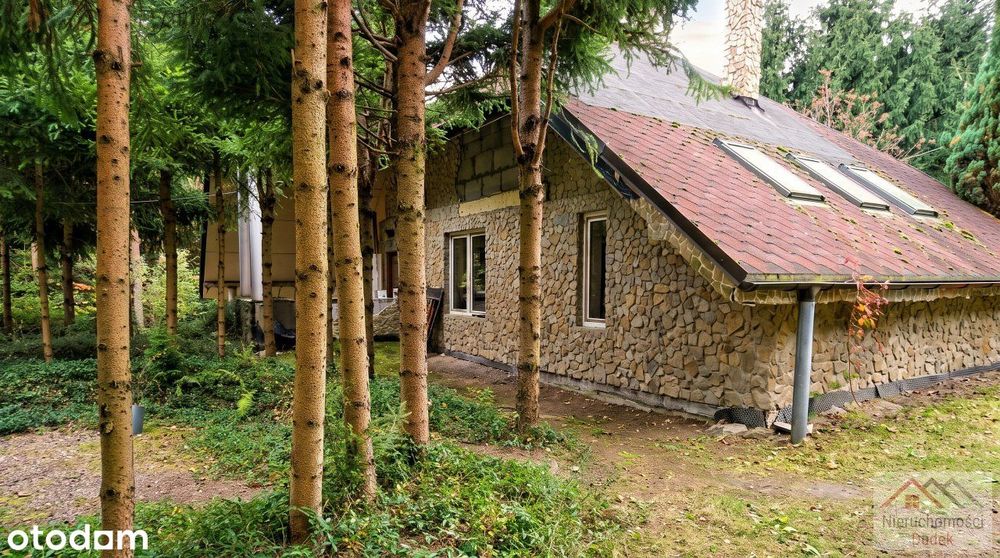 Wyjątkowa nieruchomość - 7600 m2 + 5 domków