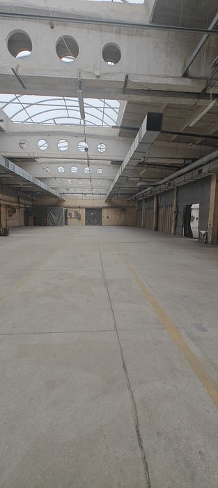 Hala na wynajem 1450 m