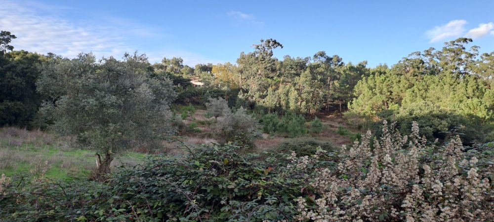 espectacular LOUSA LOURES 1.6 hectares a 15 min da capital Lisboa