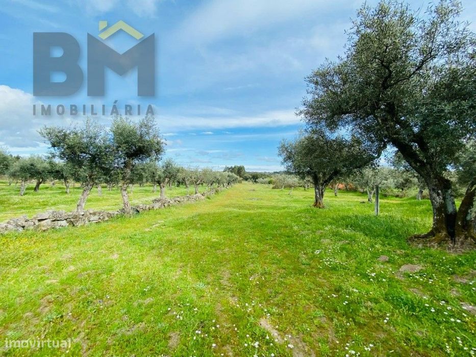 Quinta em zona rural tranquila