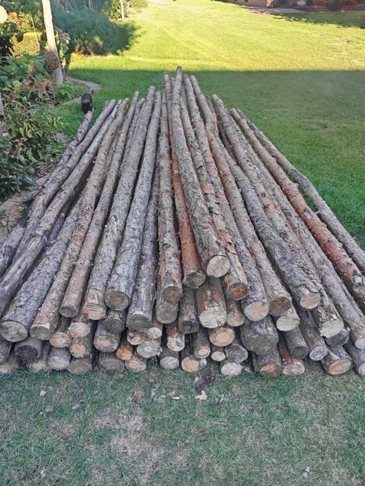 Stemple budowlane drewniane