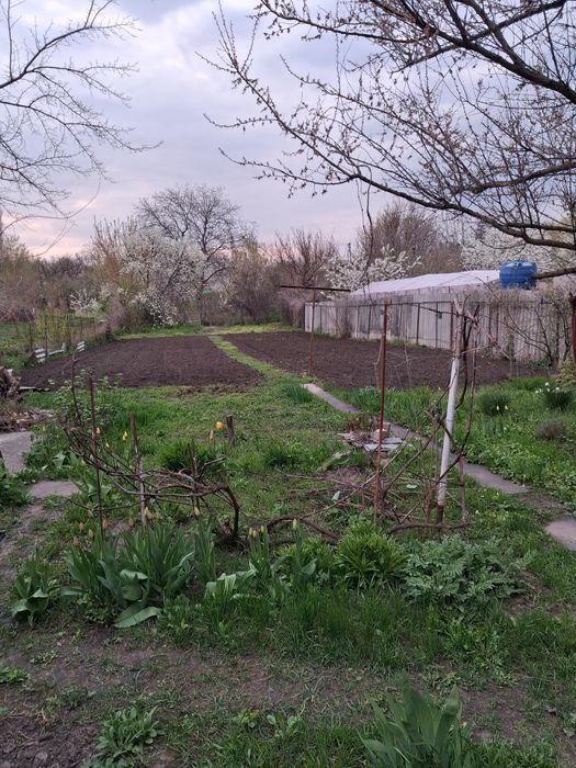 Продам дім ,Одинківка - Вид 6