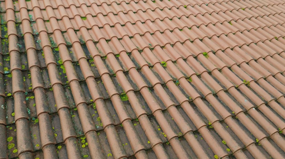 Serviços de Inspeção de Telhados