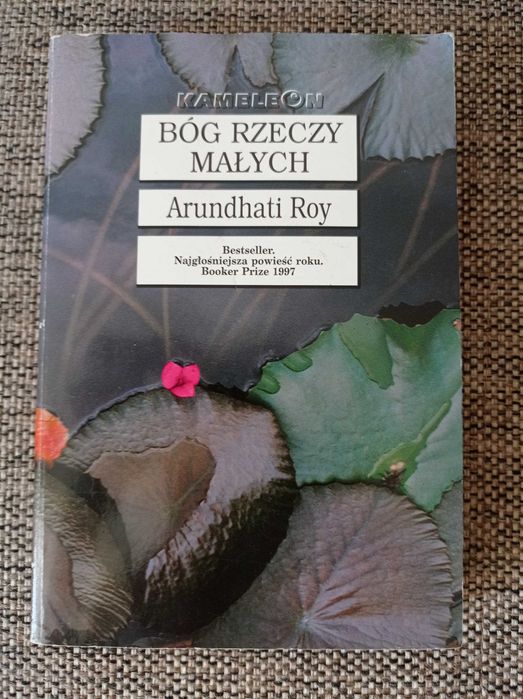 Arundhati Roy, Bóg rzeczy małych