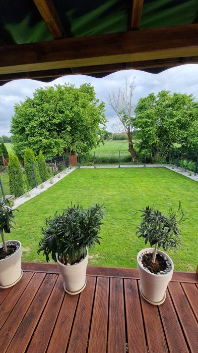 Dom "Wiślany Zakątek"na Mierzei Wislanej