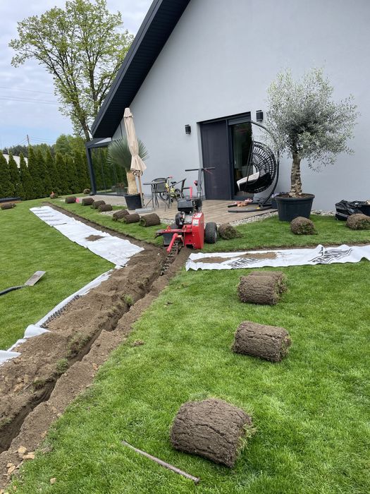 Glebogryzarka separacyjna, Trawnik z siewu rolki Niwelacja nawadnianie