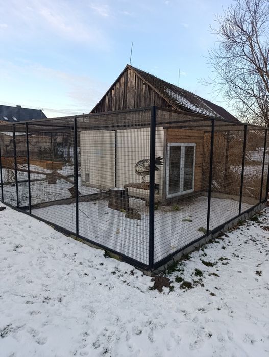 Woilera, klatka dla drobiu