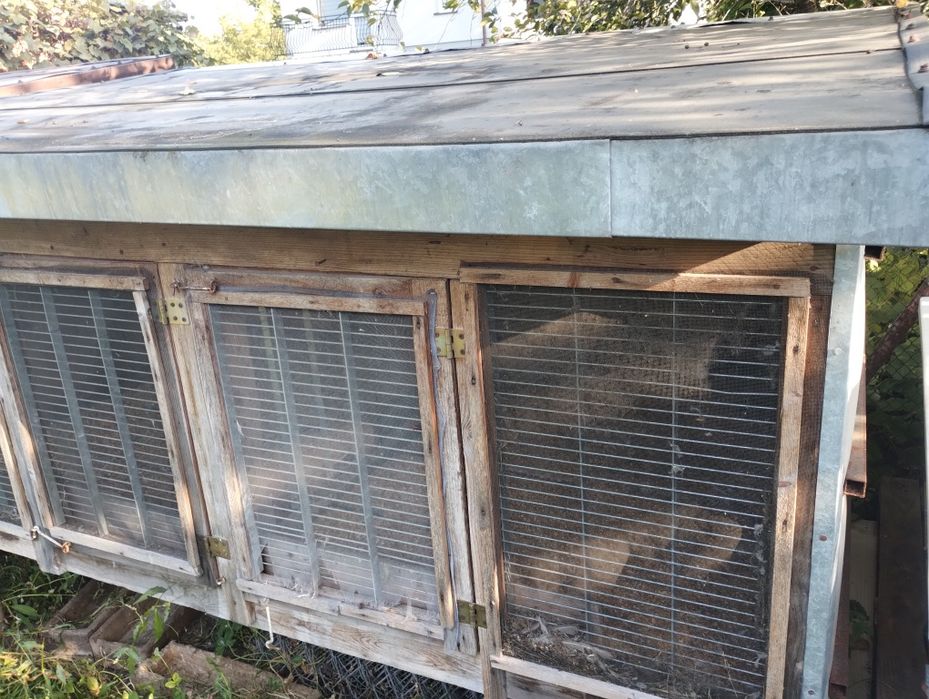 Klatki na króliki, kury i inne zwierzaki