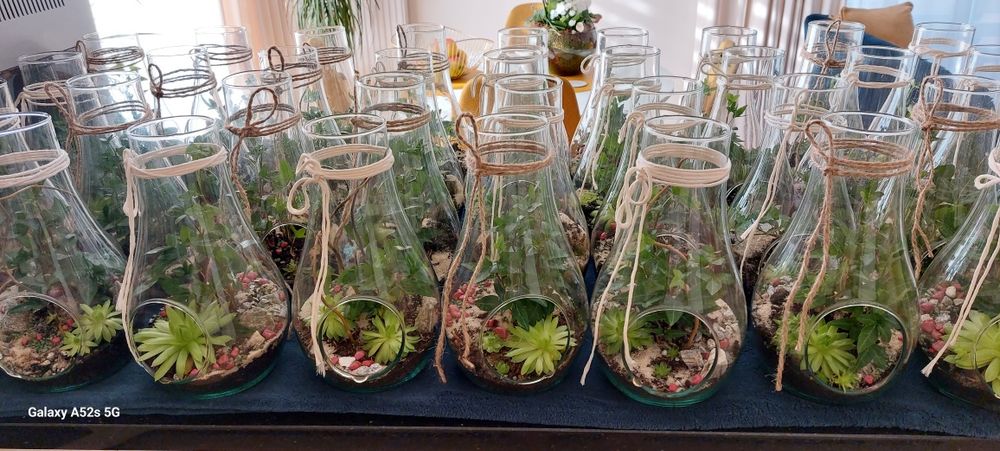 Las w szkle - mikroklimat