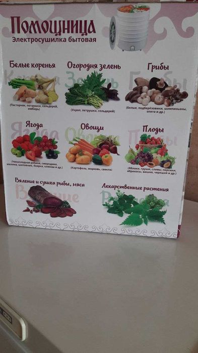 Дегідратор помощнеца сушилка объем 30л + поддон для пастелы