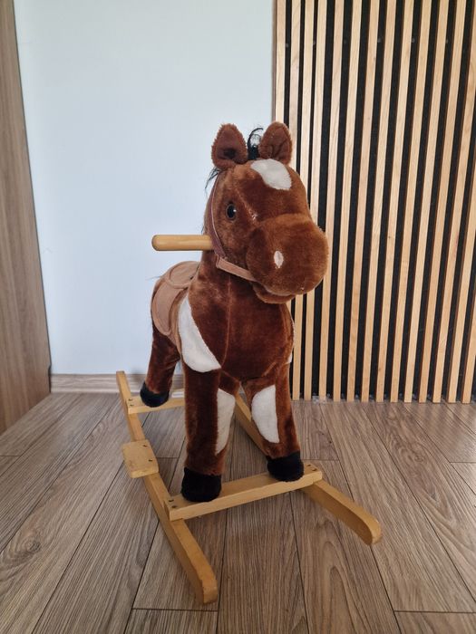 Konik na biegunach (rezerwacja)