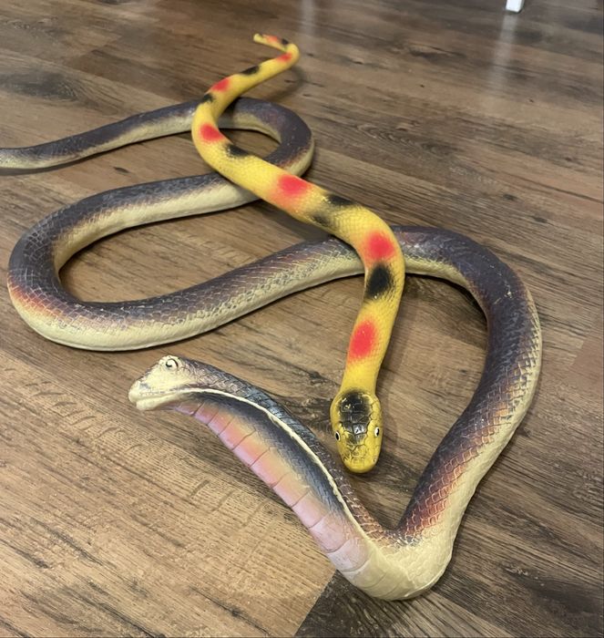 Zabawki gumowe węże