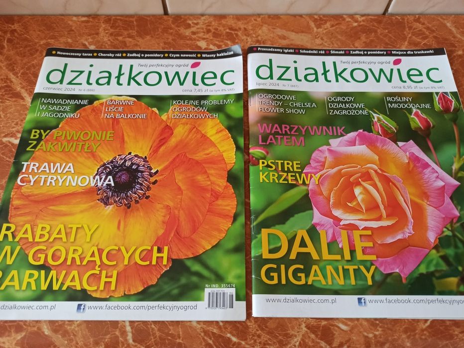 Miesięcznik Działkowiec - 12 numerów