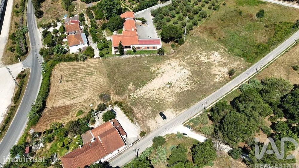 Terreno para construção em São João da Ribeira e Ribeira de São João