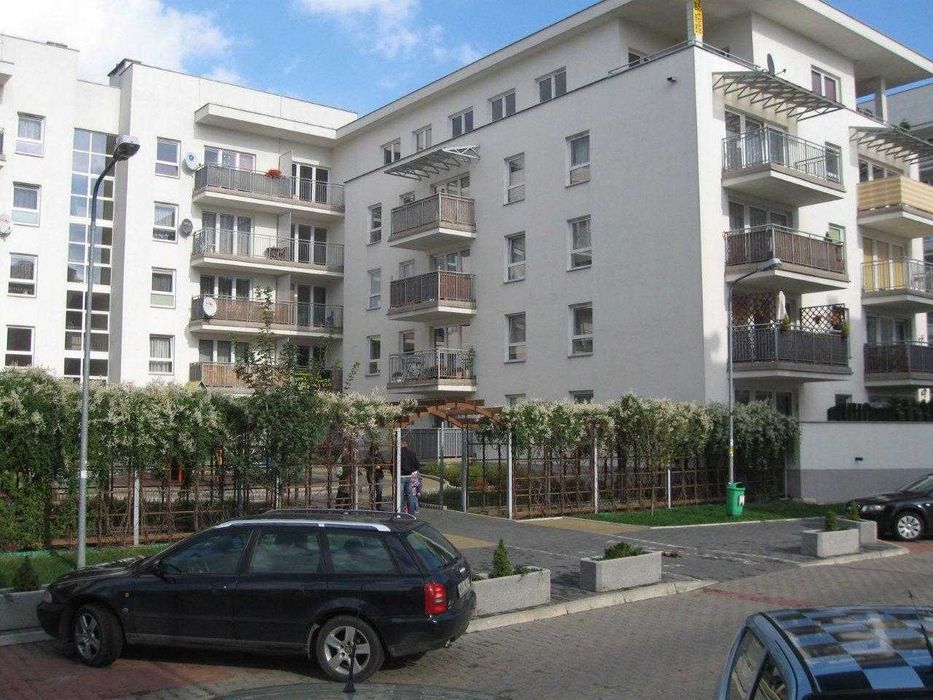 Zdjęcie 8