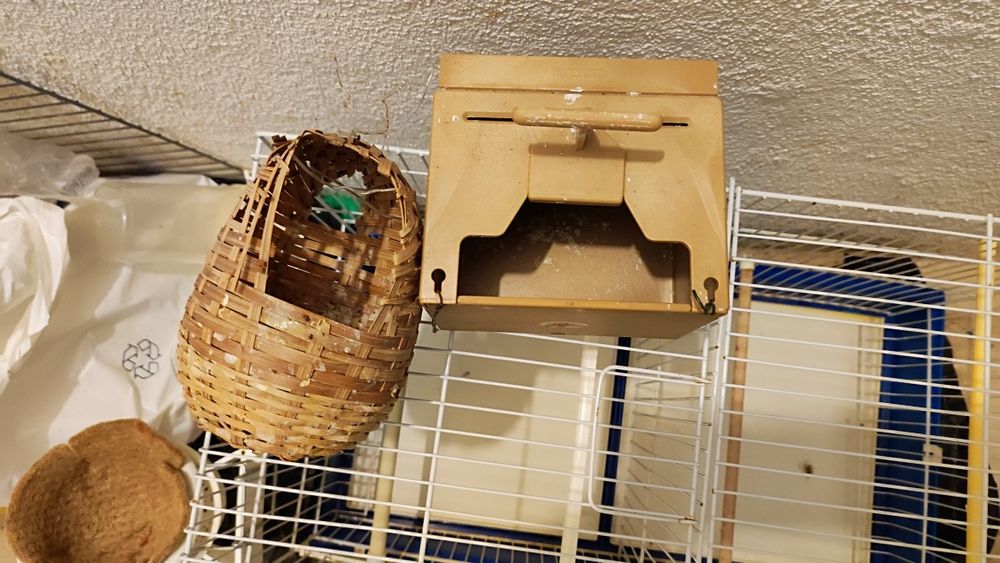 Gaiolas para pássaros