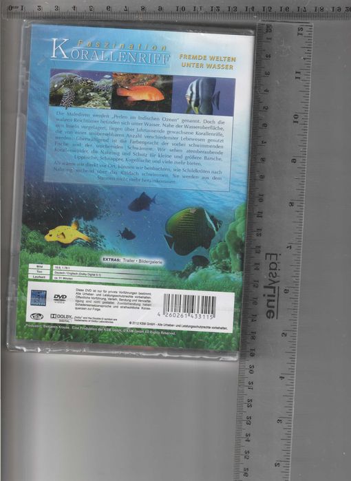 Korallenriff fremde welten unter wasser DVD