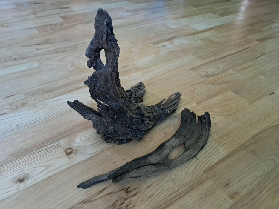 Korzenie mangrowca szt 3 do akwarium o rozmiarach 15 cm * 30 cm.