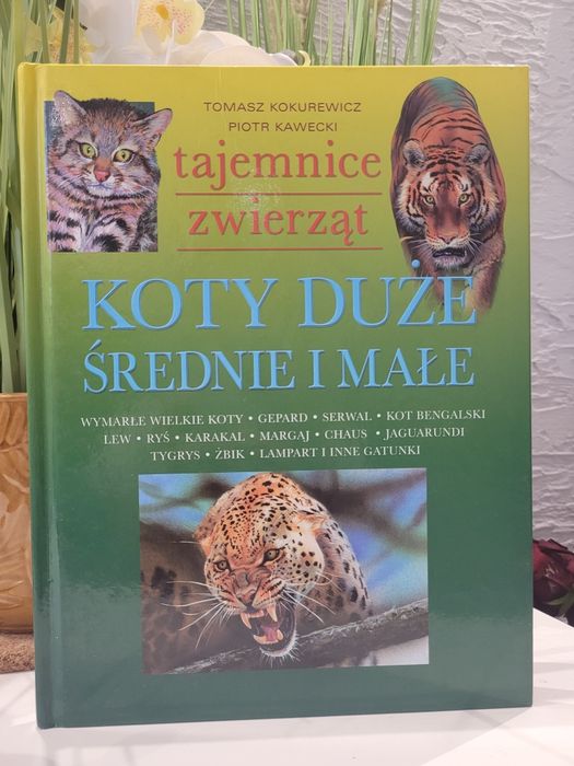 Książka ,,Koty duże, średnie i małe"