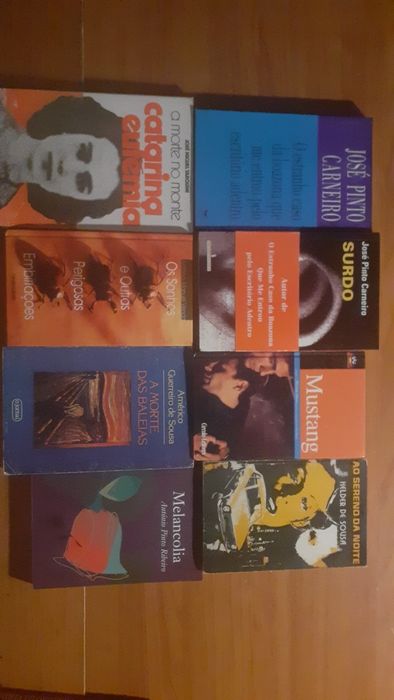 Literatura portuguesa 3