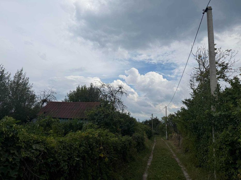 Ділянка в дачному масиві Дружба