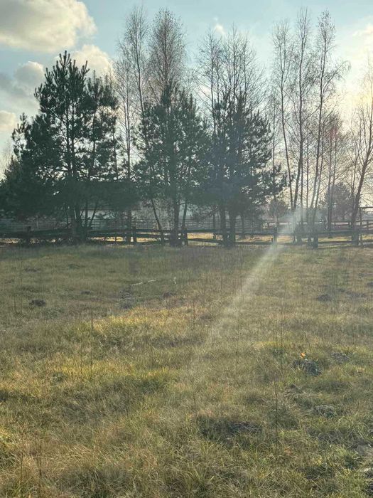 Земельна ділянка, с. Туринка