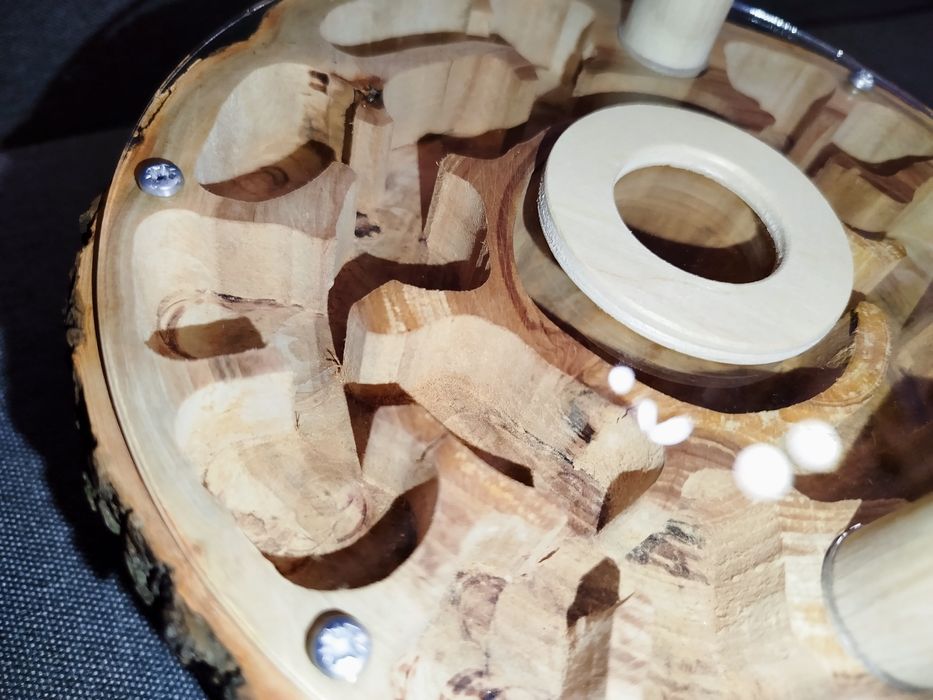 Деревянная муравьиная ферма. Дерев'яний формікарій (гніздо) для мурах.