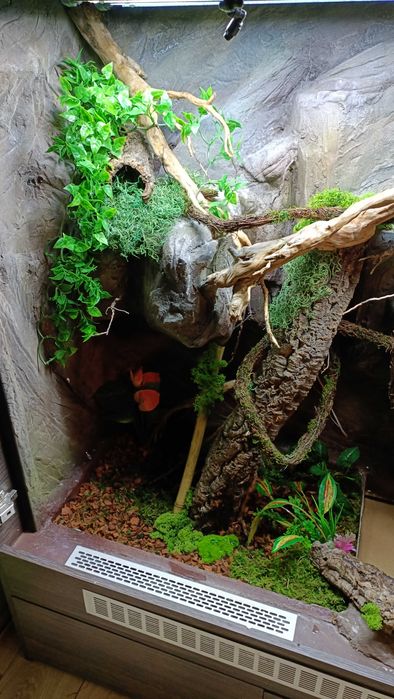 Terrarium tropikalne 120x160x60