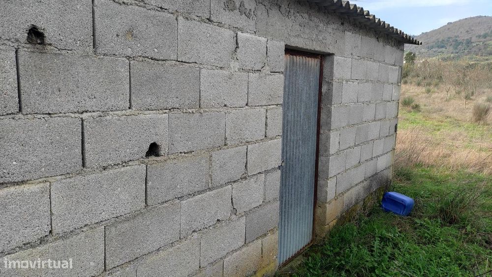 Oportunidade Exclusiva: Quinta com Alto Potencial de Valorização