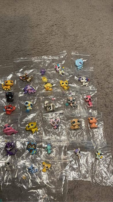 Kolekcja littlest pet shop