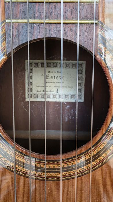 Viola com saco e acessórios