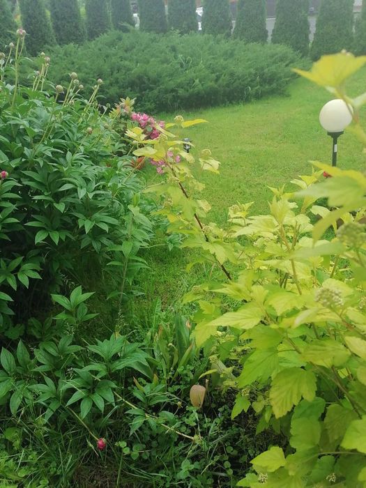 Ferie zimowe góry Bieszczady Baligród domek kominek