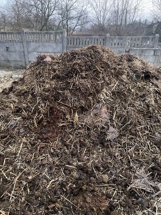 Oddam obornik koński za darmo