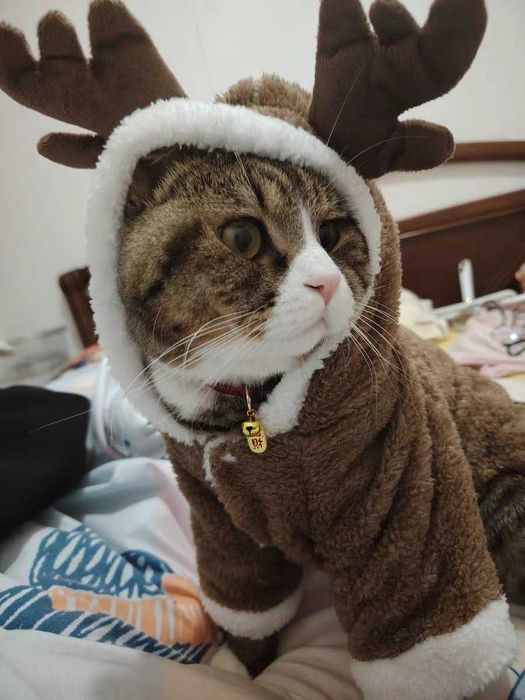 Colete de Natal em malha para animais de estimação