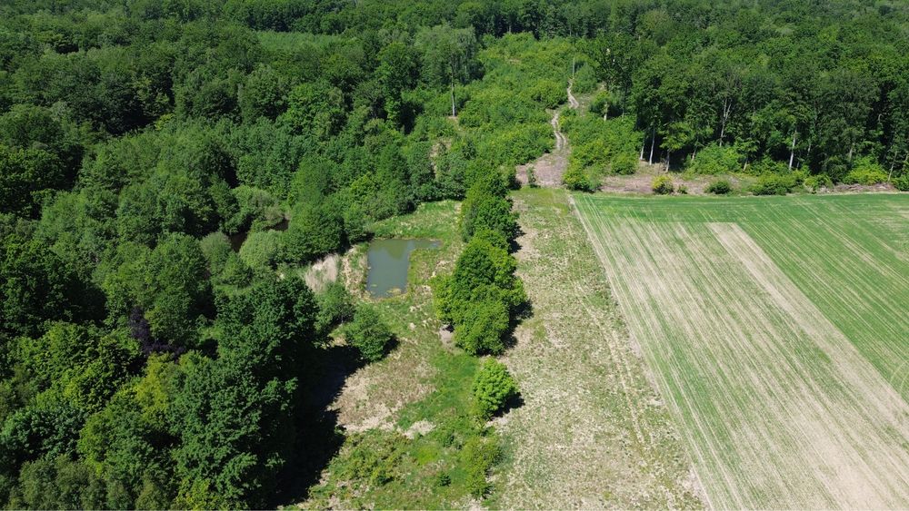 Działka budowlana pod lasem z własnym stawem obok Słupska - View 6