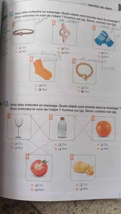 DELF junior scolaire A1