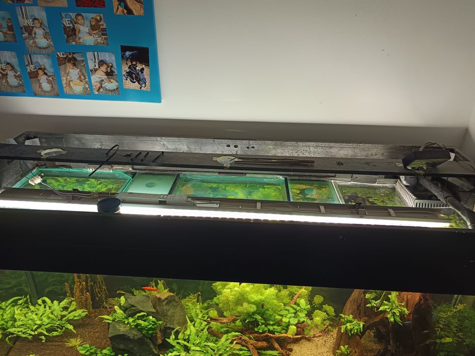 Calha de luz aquário