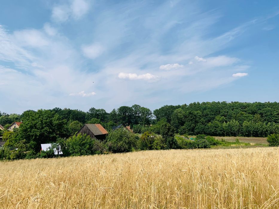 Działka budowlana w pięknej okolicy