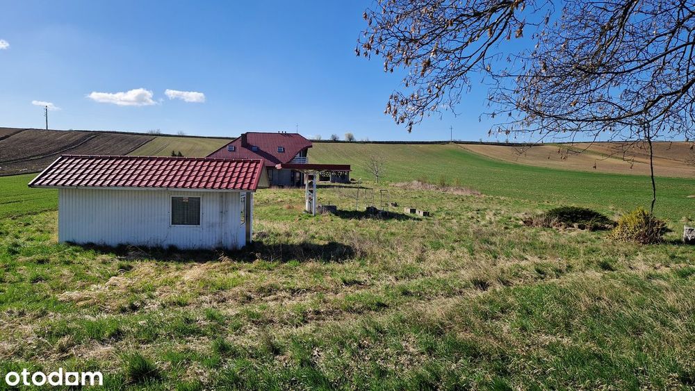 Działka budowlana 15,7 a Kowala 2,5km od Proszowic / 0 prowizji - Widok 4