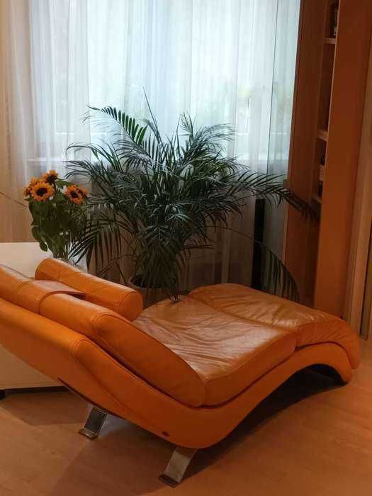 Szezlong/Fotel, Gala Collezione, Bibbo, skórzany