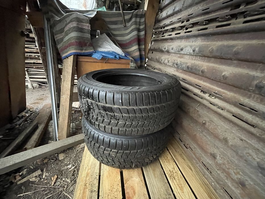 Шини Bridgestone R19