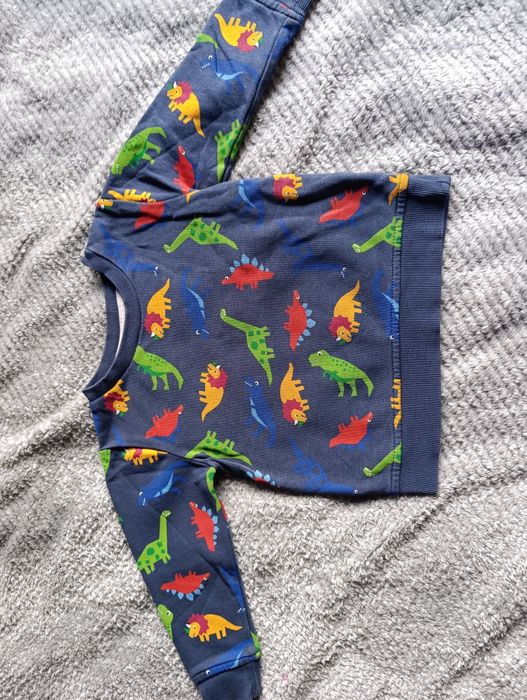 Bluza chłopięca w dinozaury
