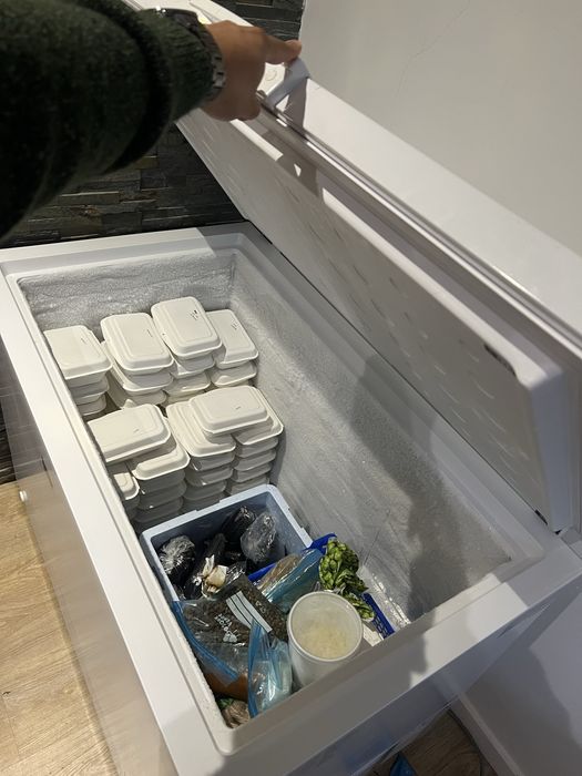 Arca congeladora 308L