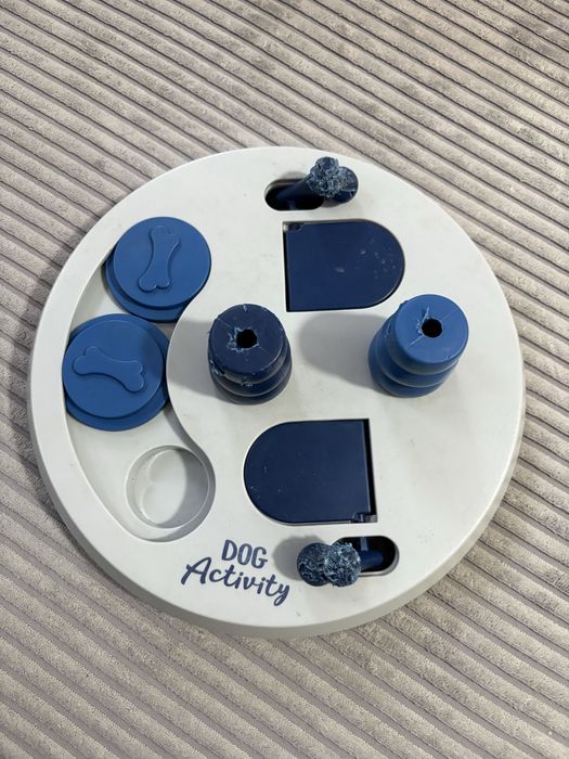 Zabawka edukacyjna dla psa