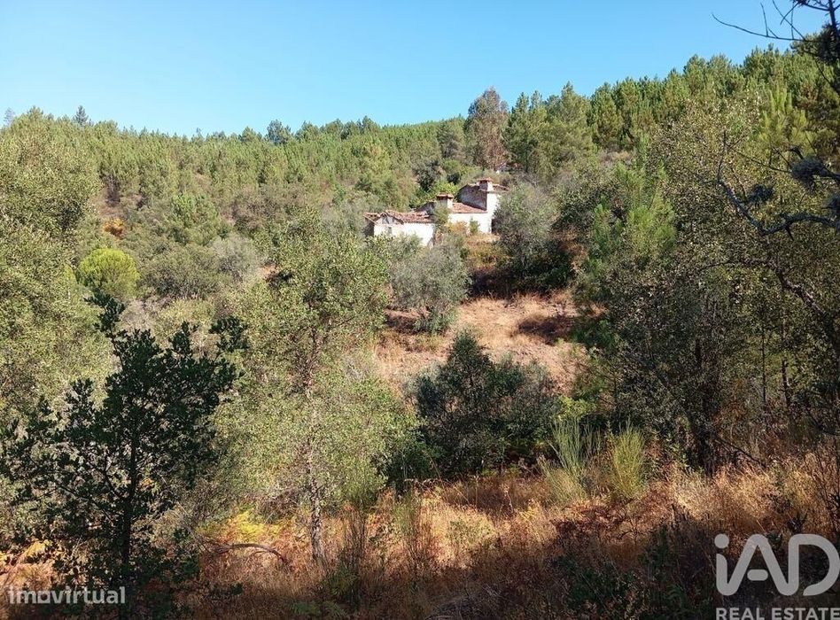 Quinta T2 em Alegrete de 82 m2