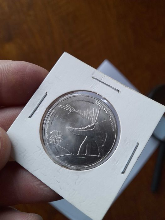 Cinco euros facial, moeda miragaia longicolium