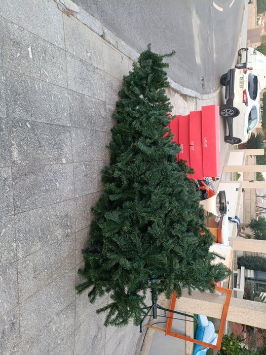 Pinheiro de Natal 310 cm