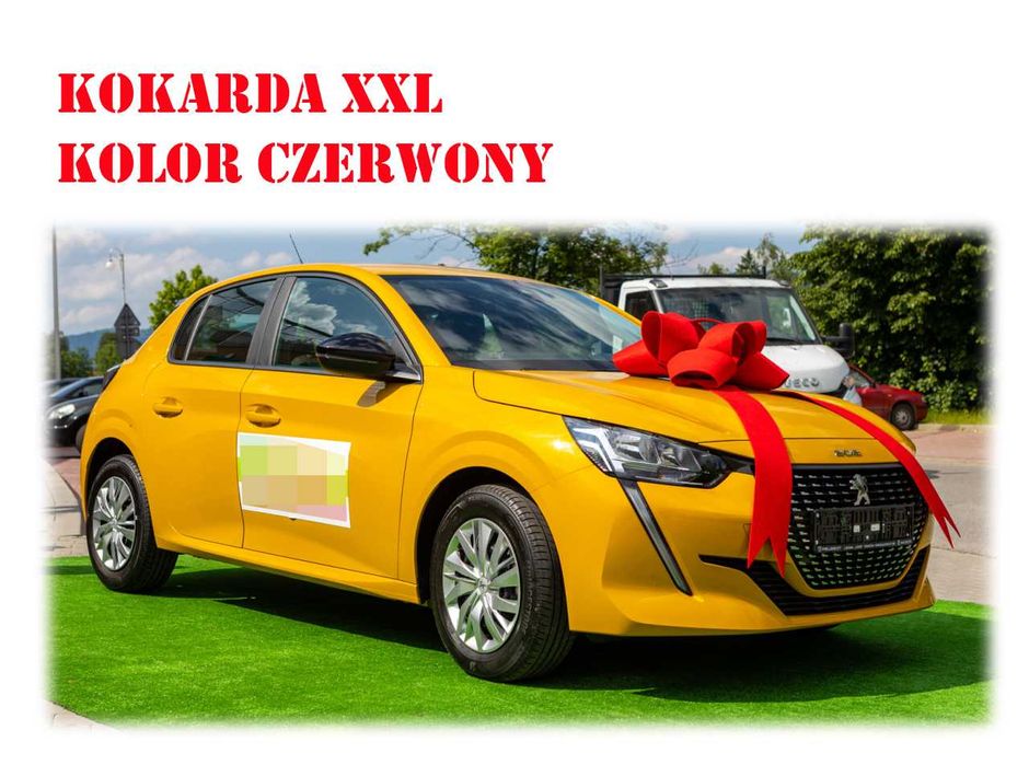 Łatwy montaż na PRZYSSAWKACH- Duża Kokarda na Prezent NOWA