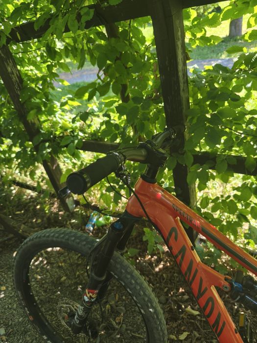 Canyon Specialized