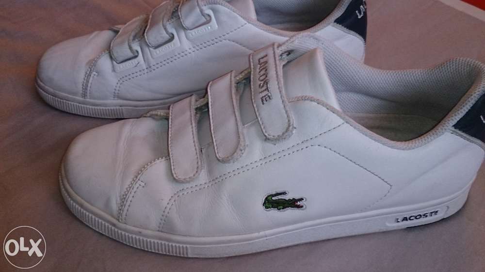 Buty Lacoste 42 - 42,5 Lublin Warszawa